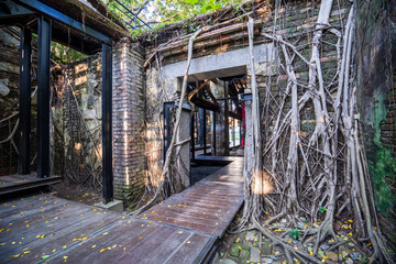 The Anping Tree House  is a former warehouse in Anping District, Tainan, Taiwan. The "treehouse" name refers to the living banyan roots and branches that cover the building.