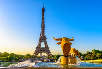 Fotobehang View of Eiffel Tower from Jardins du Trocadero in Paris, France. Eiffel Tower is one of the most iconic landmarks of Paris © Ekaterina Belova