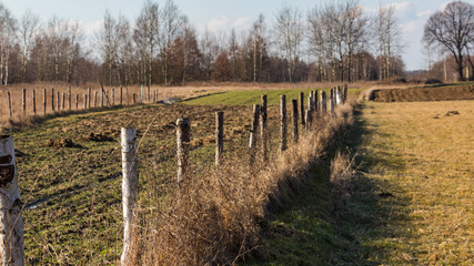 Fototapeta premium arable fields in the south of Poland