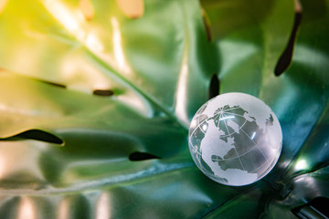 World globe cystal glass on green lush leaf. Environmental conservation. World environment day....