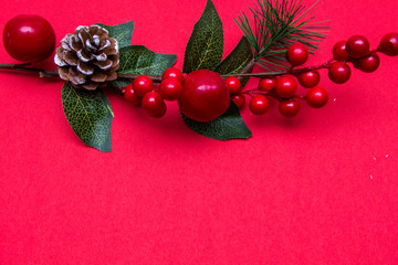 Christmas Fir Tree On Red Background 