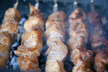 barbecue on the grill