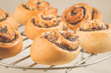 fresh rolls with poppy on a metal lattice/fresh rolls with poppy on a metal lattic, selective focus