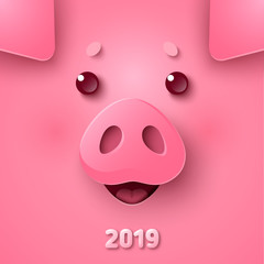 Pig face for Chinese New Year