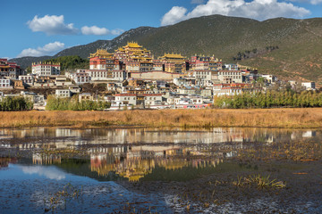 Fototapeta na wymiar Reflection of Songzanlin Monastery in the lake with line tree foreground and mountain range background in clear blue sky day, Shangri-la, Zhongdian, Yunnan, China