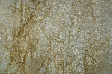 Old Damaged Plaster Wall from Creeping Roots Texture