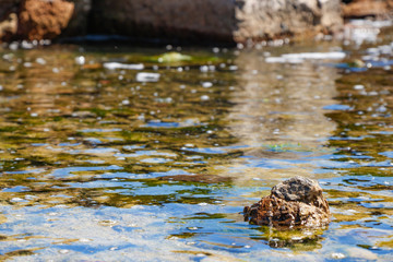 Photo of a sea landscape with a rocky beach