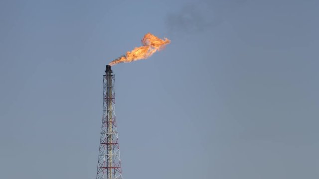 Flare stack of petrochemical refinery