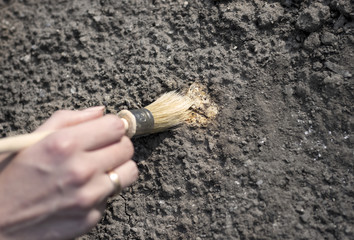 archeology female hand holds brush a tassel excavation of rare materials treasure hunt and...