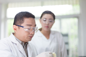 Obraz premium people working at laboratory