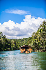 Naklejka premium Loboc River