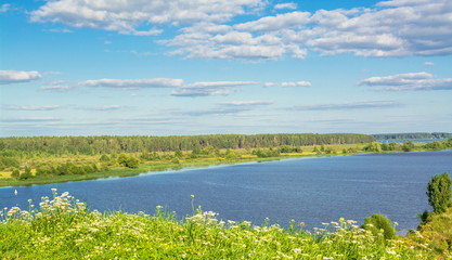 Forest and flowers on the high bank of the river