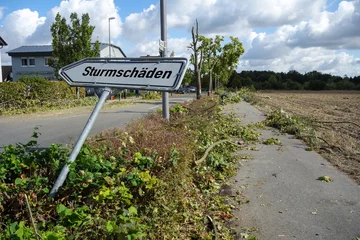 Photo sur Aluminium brossé Orage Sturmschäden Schild abgeknickte Bäume an Straße unwetter naturkatastrophe sturm konzept hintergrund