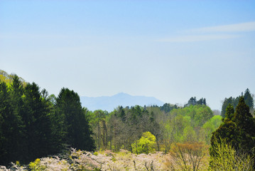 木　山　春　素材