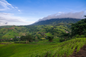 Fototapeta na wymiar View over the hills during summer thailand