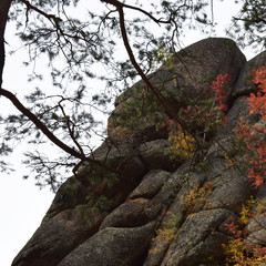 Krasnoyarsk reserve. Posts. Mountains in a beautiful autumn forest. Mysterious and fabulous forest. Many trees on the hills. Indian summer. Krasnoyarsk region. The Nature Of Siberia. Spectacular view.