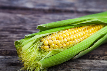 Ripe corn on a  wooden table.