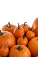 Heap of orange pumpkins