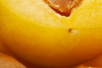 Texture of the fruit of the plum One fruit is enlarged to the size of the screen