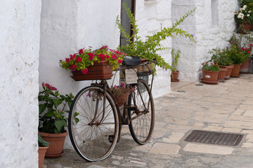 Obraz na płótnie Canvas Old bicycle