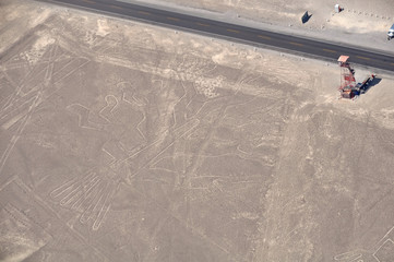 Lines and Geoglyphs of Nasca