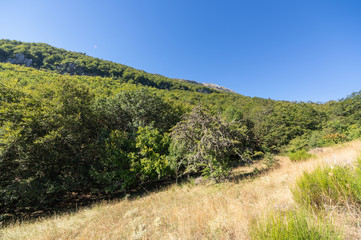 Beautiful views of a valley in the province of Leon, Spain, during a trekking on a hot sunny day