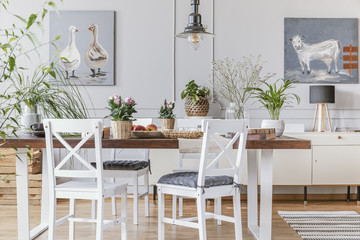 White chairs at wooden table with flowers in eclectic dining room interior with posters. Real photo