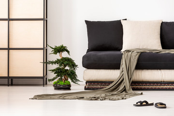 Blanket and pillows on black couch in asian living room interior with shoes and bonsai. Real photo