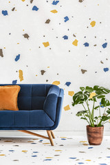 Plant next to blue sofa with orange pillow in colorful living room interior with wallpaper. Real...