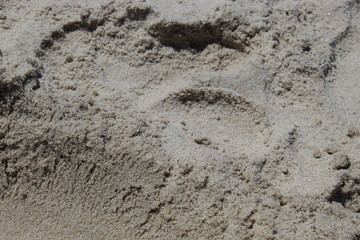Sand Beach 