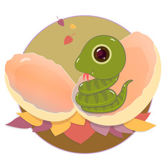 little green snake appeared from a broken egg