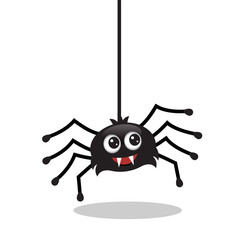 cute black biting spider hanging on a thread of a web