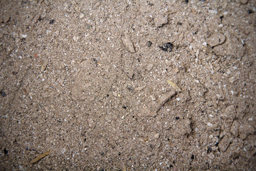 ash texture for background, copy space