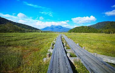 尾瀬ヶ原