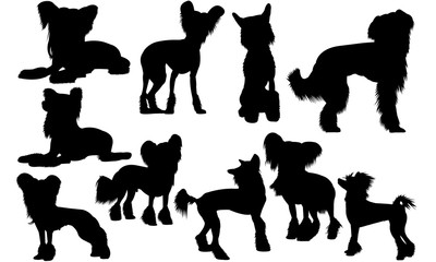 Chinese Crested  Dog svg files cricut,  silhouette clip art, Vector illustration eps, Black Dog  overlay