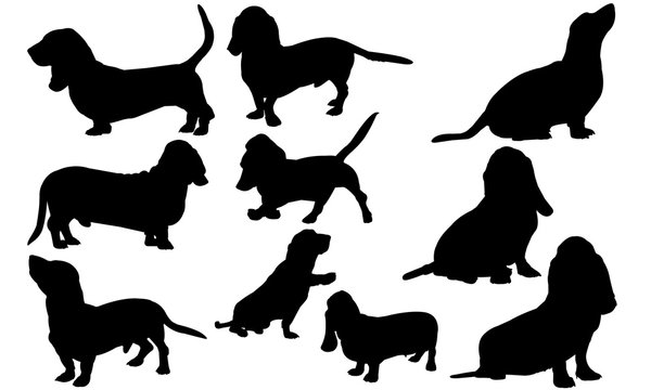 Basset Hound Dog Svg Files Cricut,  Silhouette Clip Art, Vector Illustration Eps, Black Dog  Overlay