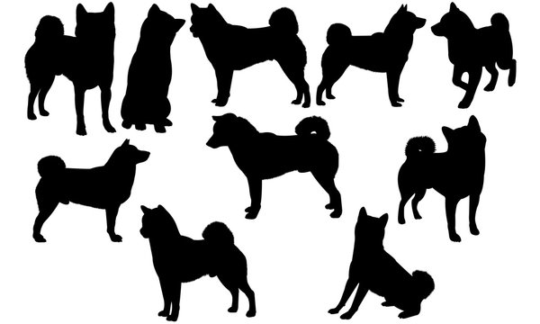 Shiba Inu Dog svg files cricut,  silhouette clip art, Vector illustration eps, Black Dog  overlay