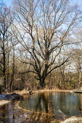 Winter am Schwimmteich