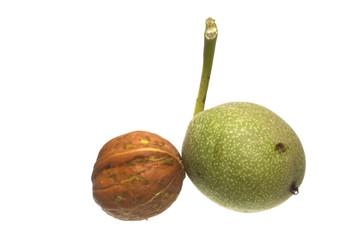 walnut isolated on white background
