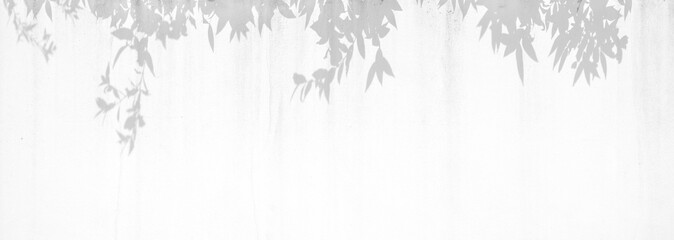 shadow of branches and leaves on crack white wall