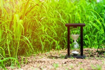 small hourglass in green grass field. - measuring the passing time and countdown to a deadline.