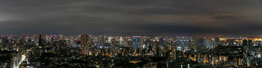 Fototapeta na wymiar 東京の夜景　パノラマ