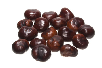 chestnut isolated on white background
