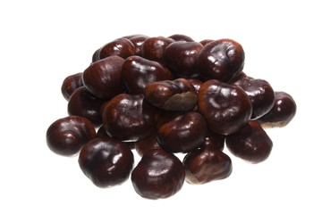 chestnut isolated on white background