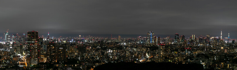 Fototapeta na wymiar 東京の夜景　パノラマ