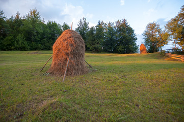 hay stack in evening light