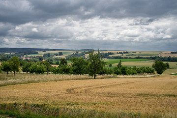 weiter Blick über Getreidefelder im Sommer und Bergen im Hintergrund, D, Bayern, Grabfeld,...