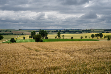 Fototapeta na wymiar D, Bayern, Unterfranken, Grabfeld, Blick über die Felder im Milzgrund um Höchheim