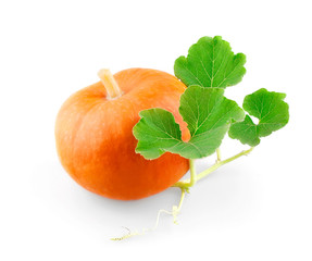 Fresh pumpkin