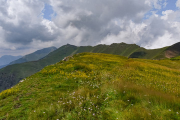 Valle Argentina, Monte Saccarello - Liguria (Italia)